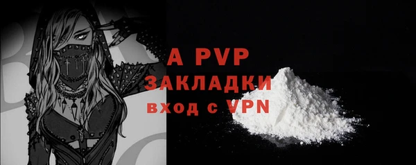 соль ск Арсеньев